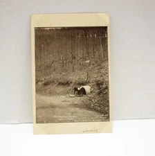 Washington Spring Valley Forge PA Postcard Posted 1906 B&W c1905 Undivided