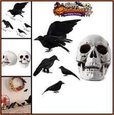 5 Pcs Halloween Crow Skull Set Spooky Decor for Yard Outdoor Indoor