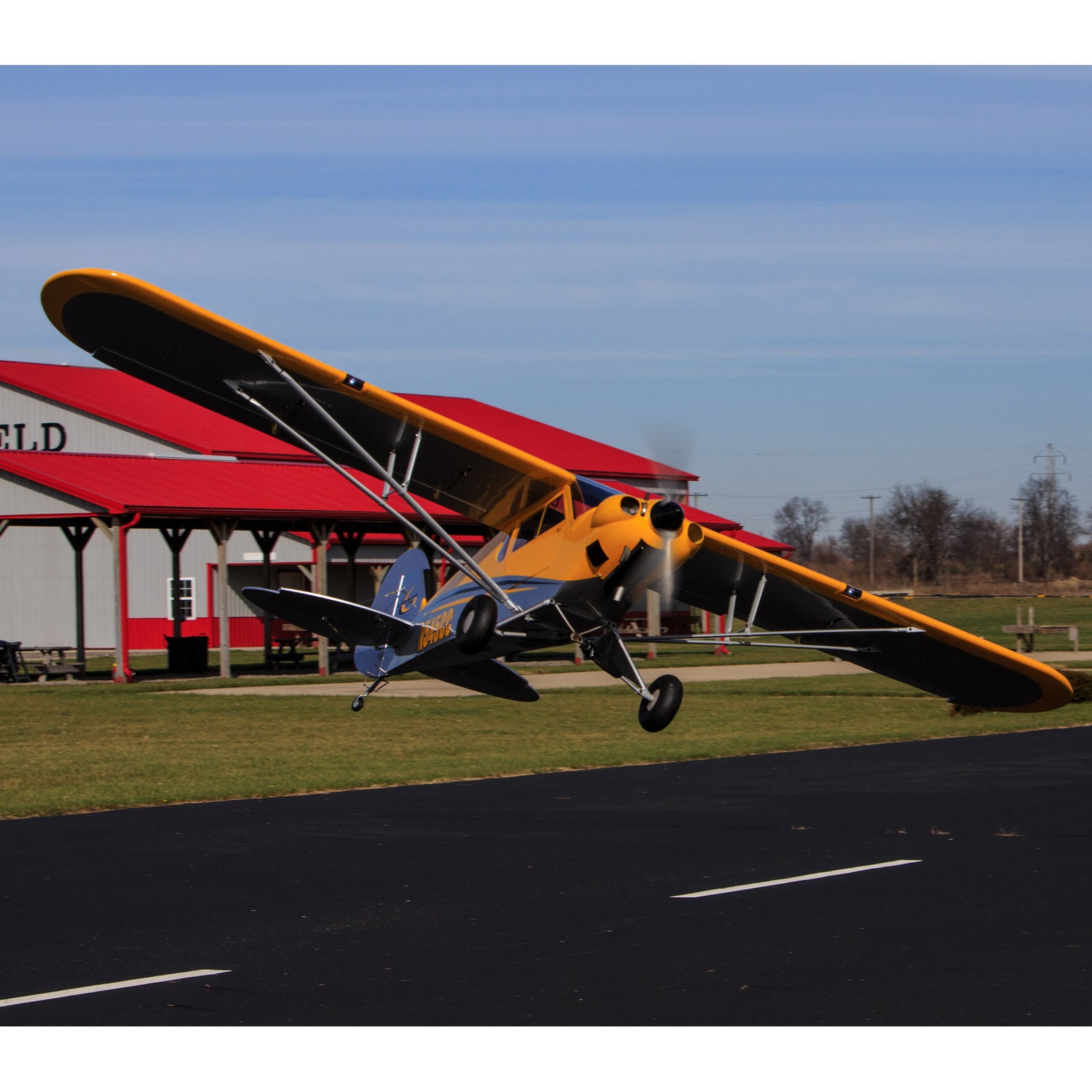 Hangar 9 Carbon Cub 15cc ARF HAN5065 Airplanes ARF Giant