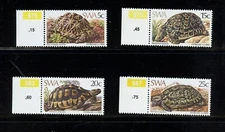Z336  Southwest Africa 1982  fauna turtles tortoise  4v.     MNH