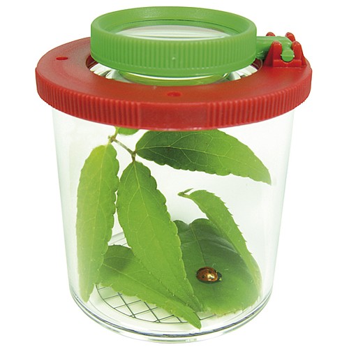 Entdecker-Set Lupe Lupendose Insektenboxen Dose Spiel Kinder Garten Natur - Bild 3 von 6