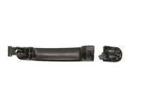 Blic 6010-01-048401P TüRgriff FüR VW