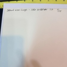 Brand New Lungs Like Wildfire Test Pressing 5/15 - NEVER PLAYED