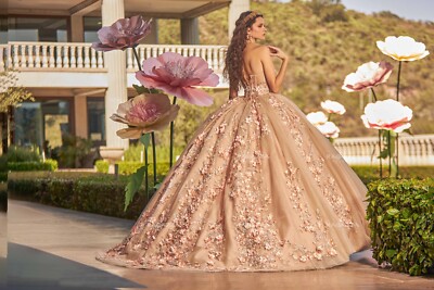 Ragazza Quinceanera Dresses EV27-627  Mexican Designers