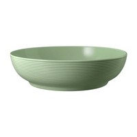 Seltmann Weiden Beat SalbeigrüN Foodbowl Schale 25 Cm