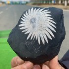 Foto 10 di 23