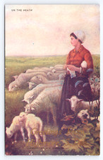 c1910 On the Heath Highmore SD Postcard Shepherdess with Sheep by W.H. Carpenter