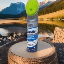 Woolite Carpet & Upholstery Triple Action Foam Cleaner Odor Stain Remover 12 oz