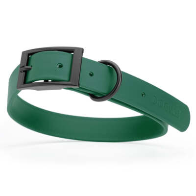 Dog Pet Waterproof Collar - W1'' x L18''-22'' - Hunter Green