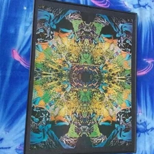 1960s Jimi Hendrix Psychedelic Vintage Wall Decor Are You Experienced