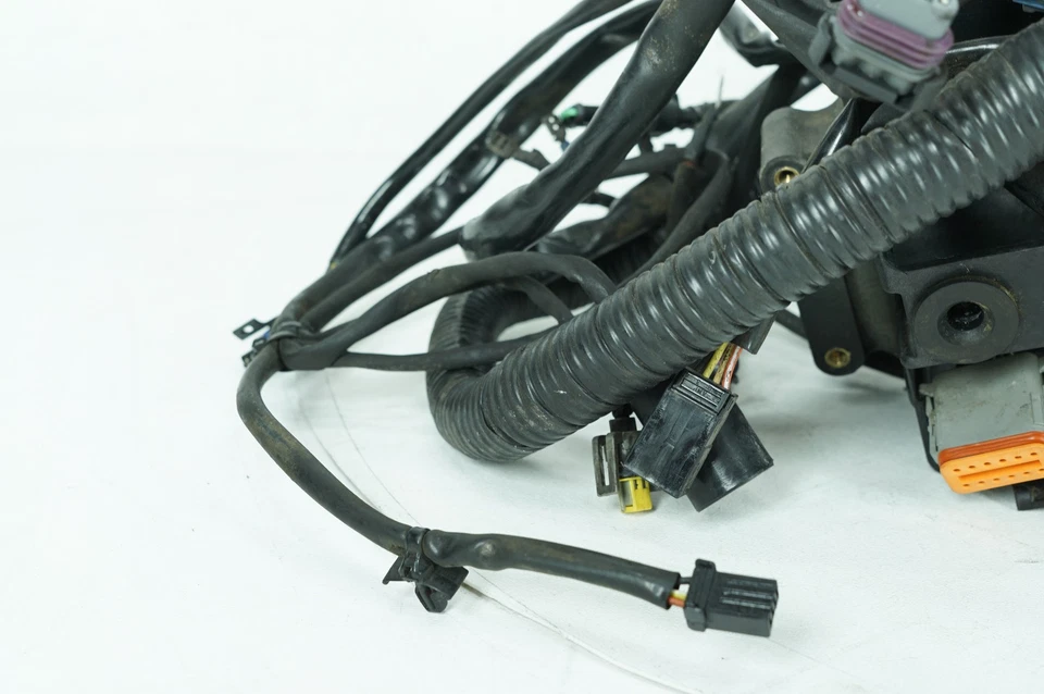 Harley Dyna FXD Super Glide 2007 OEM cableado principal arnés telar 69602-07 Foto 4 de 4