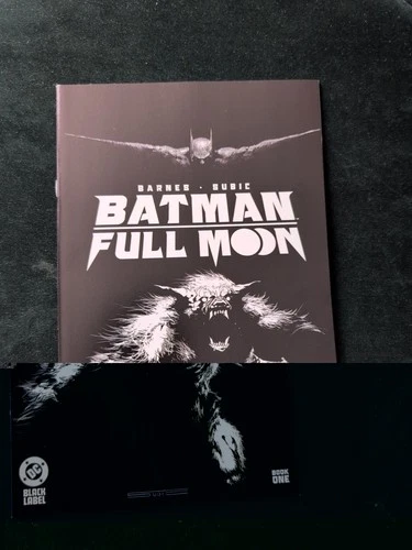 BATMAN FULL MOON #1 STEVAN SUBIC GLOW IN THE DARK  VARIANT 1