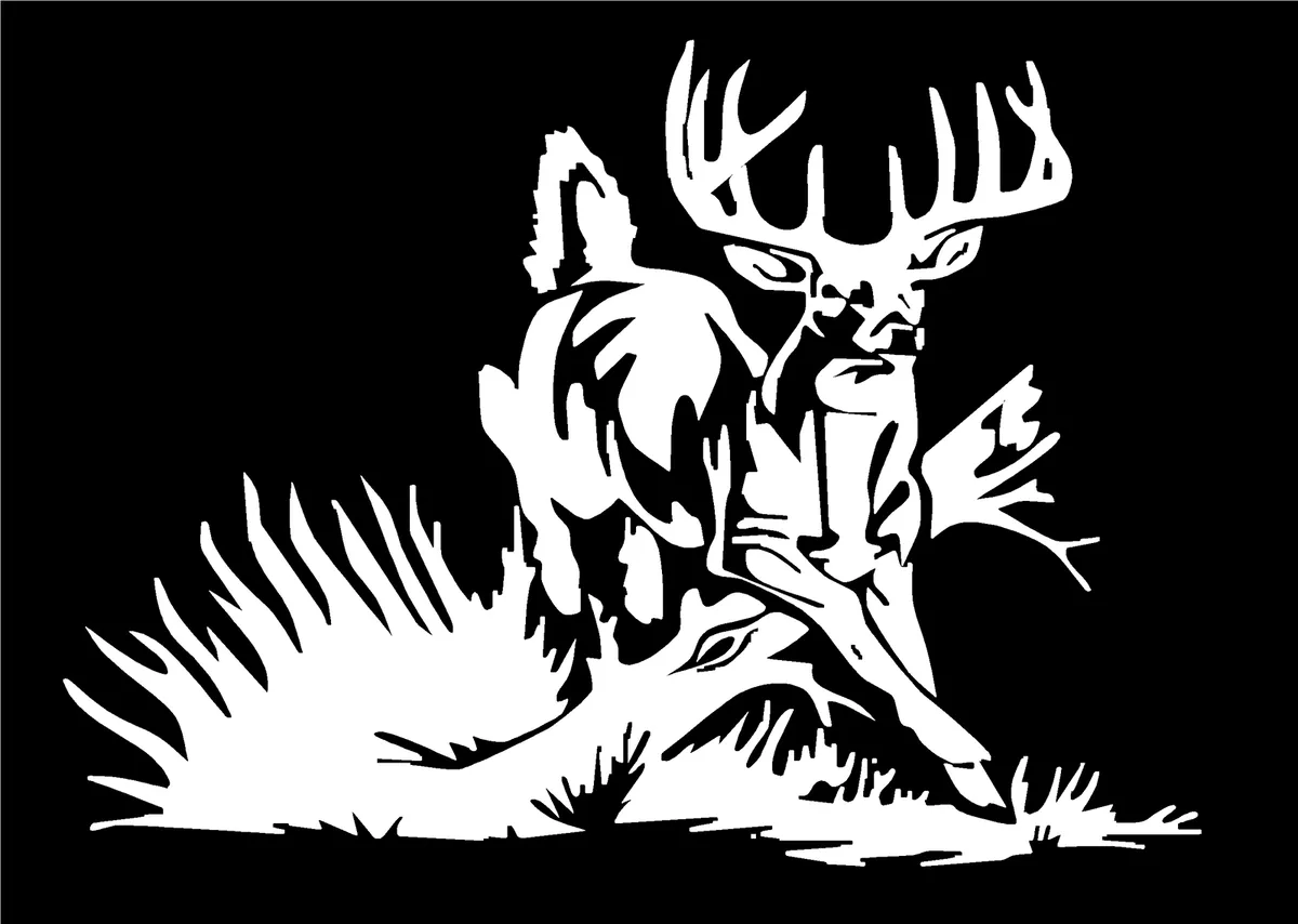 Whitetail Deer Decal Buck car truck window vinyl hunting sticker graphic