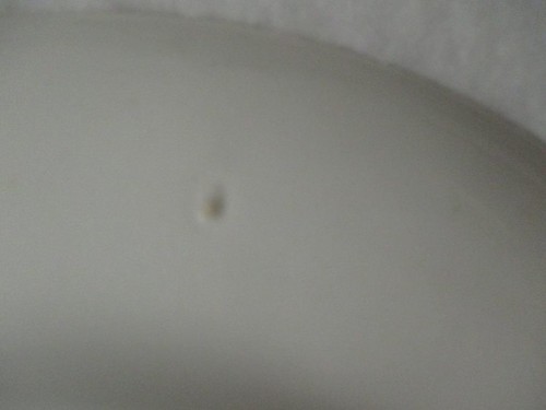 Cleveland China Iris Warranted 18 Carat Gold Dinner Plate 10" Gold Multiple Avai - Picture 7 of 7