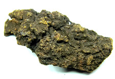 Coprolite from a giant ancient Turtle Fossil Madagascar 44.58 grams