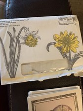 7 vintage greeting cards from Running String for American Indian youth