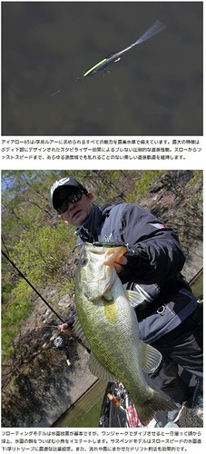 Imakatsu iArrow 65 SP 3D realism D 3DR bleeding Chiayu Bass Fishing Lure Japan - Picture 4 of 4