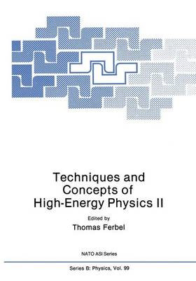 Techniken und Konzepte der Hochenergiephysik II - 9781461337478