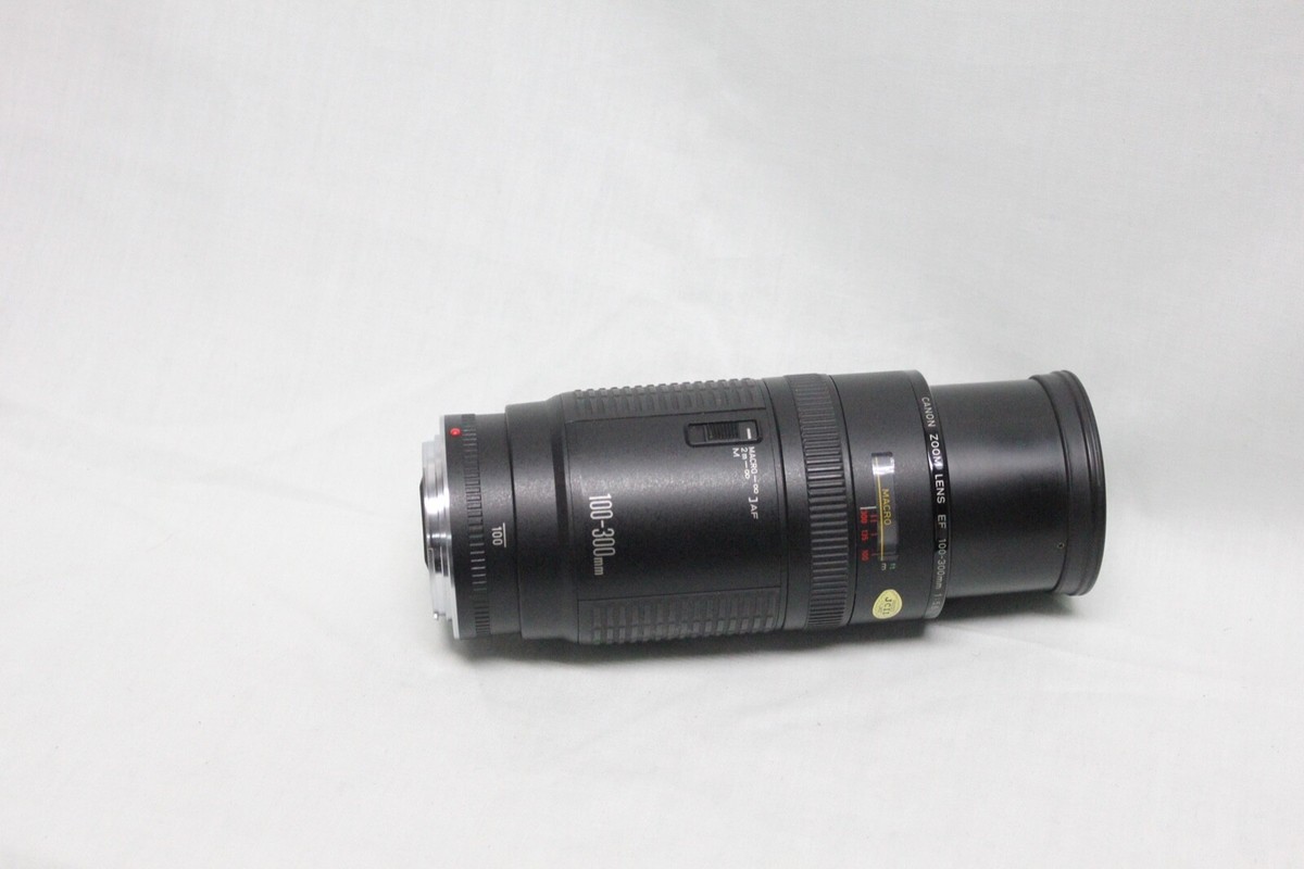 Canon EF 100-300mm F5.6 Telephoto Zoom Macro Lens | eBay