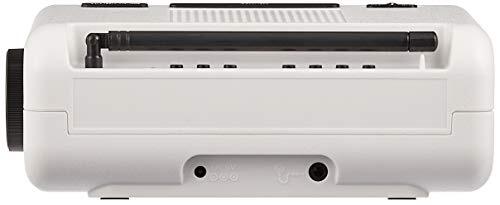 SEIKO C3 DL213W Digital Flip alarm clock / White | eBay