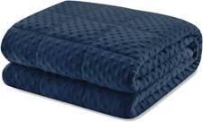 Weighted Blanket Queen 20Lbs for Adult(60"×80",Navy Blue) Breathable Soft Minky