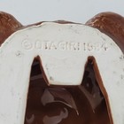 Foto 8 di 11