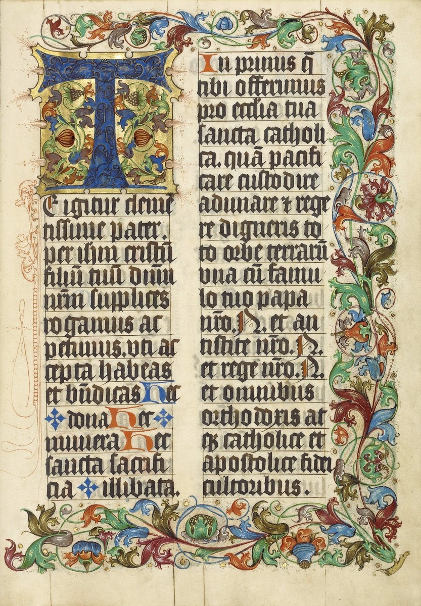 洋書 Illuminated Manuscripts Illuminated Manuscripts: Hayman, Richard: 9781784422363