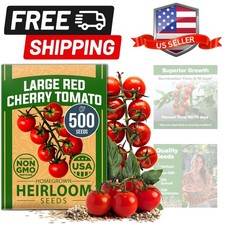 Large Red Cherry Tomato Seeds 500+ Heirloom Non GMO Seeds for Planting, High ...
