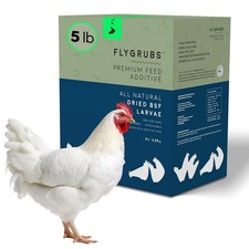5 lb Dried Black Soldier Fly Larvae - High-Calcium Chicken Treats for Laying ...