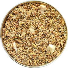 Mezcla de semillas Quentova Premium de 6 granos, fortificada con espirulina, alimento para aves