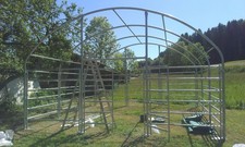 Weidezelt 6x6mx3,7m Rundbogenzelt Rundbogenhalle Weidehütte PVC 750g/m²