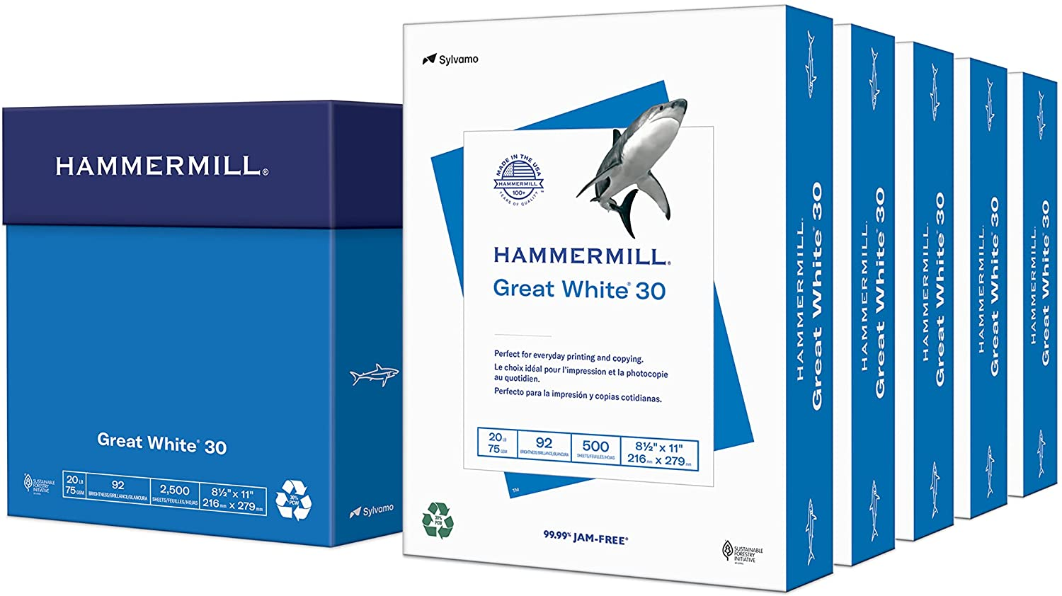 Printer Paper, Great White 30% Recycled Paper, 8.5 X 11 - 5 Ream (2,500 Sheets)-image