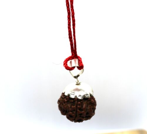RUDRAKSHA RUDRAKSH 5 MUKHI SAMMLER QUALITÄT PERLENANHÄNGER HINDU YOGA GEBET SELTEN - Bild 4 von 8