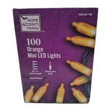 HOME ACCENTS 100 Orange LED Mini Lights 28.8 ft Halloween Christmas NEW