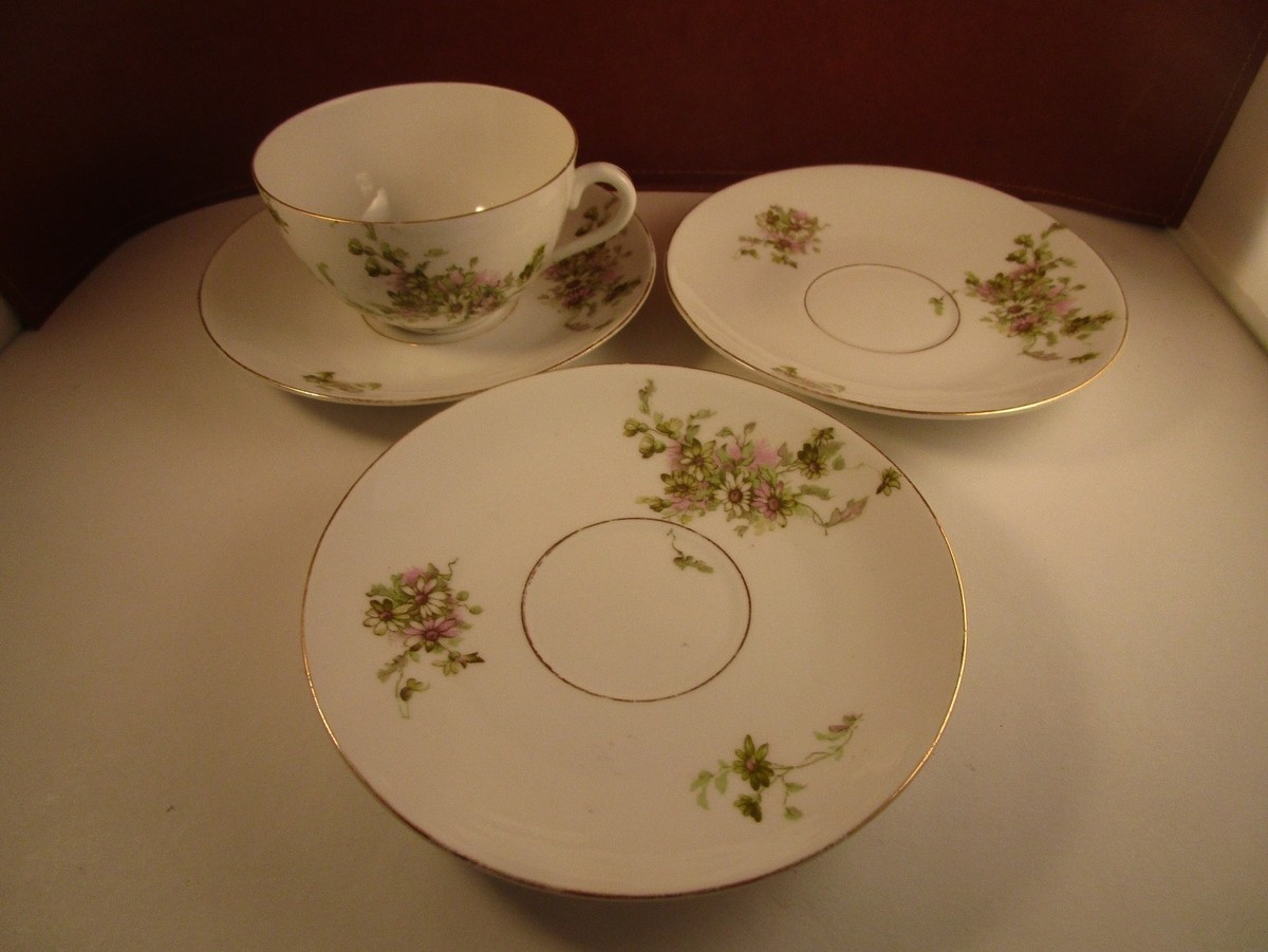 Vintage LS&S Carlsbad Austria Green Pink Flowers Set of 1 Cup & 3