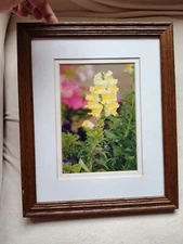 Framed Under Glass Matted Photo Of Yellow Flowers 11"×9"