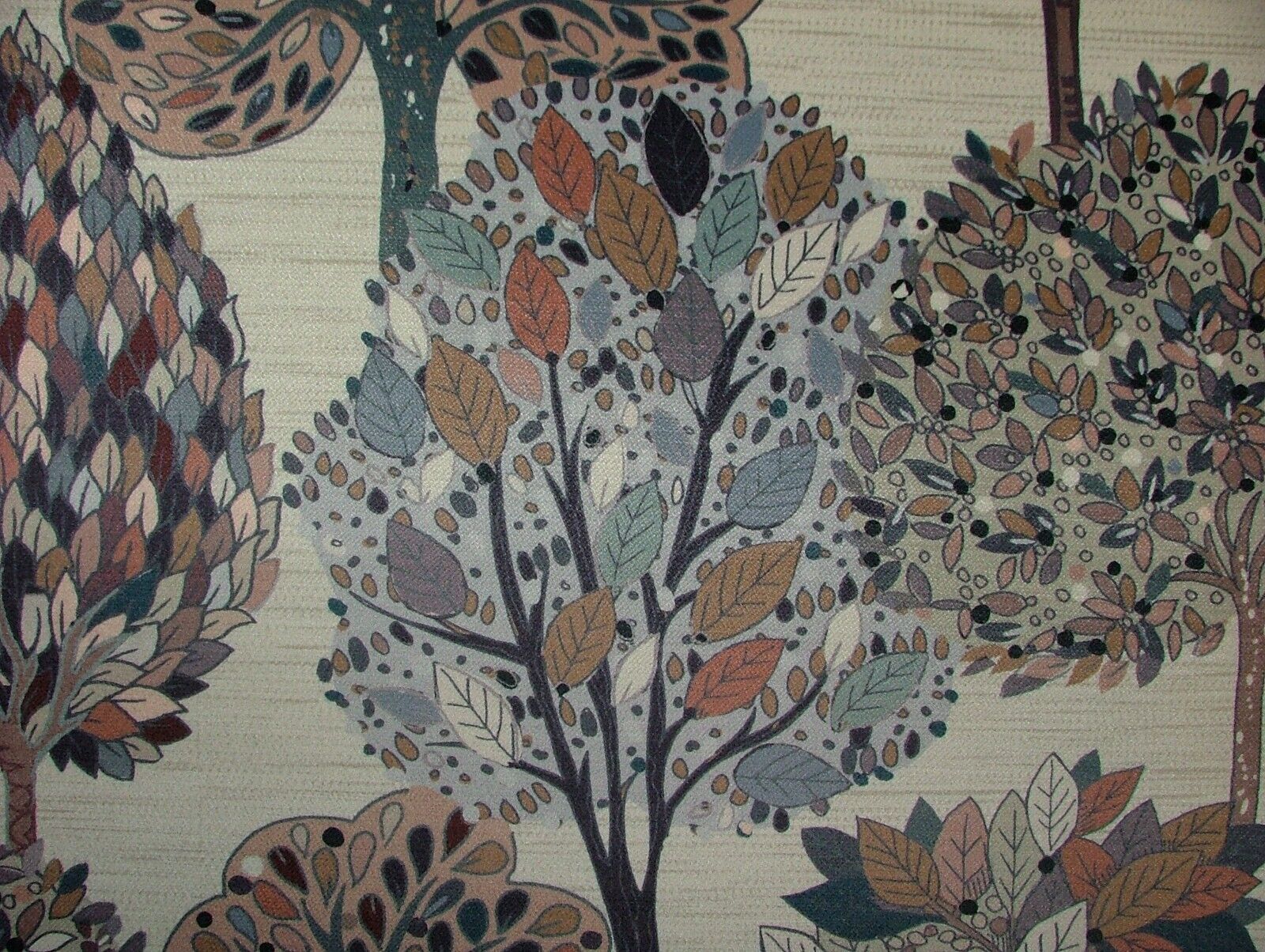 Picture 9 of 23