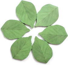300 Sheets Leaf Sticky Notes, Cute Plant Sticky Notes,6 Pads