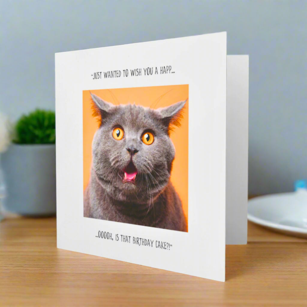 Funny Cat Birthday Card Cat Lovers Humorous Cake Lover Greetings