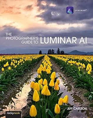 Photographer's Guide to Luminar AI,The: How an Ex-Factory Worker Helped Save One