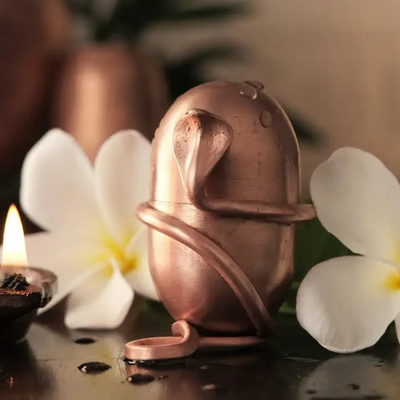 #ad ISHA Jeevarasam Consecrate water at home. Unique design $88.83