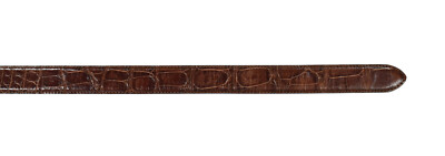 Ralph Lauren Purple Label Brown Alligator Belt Strap 30 New $950