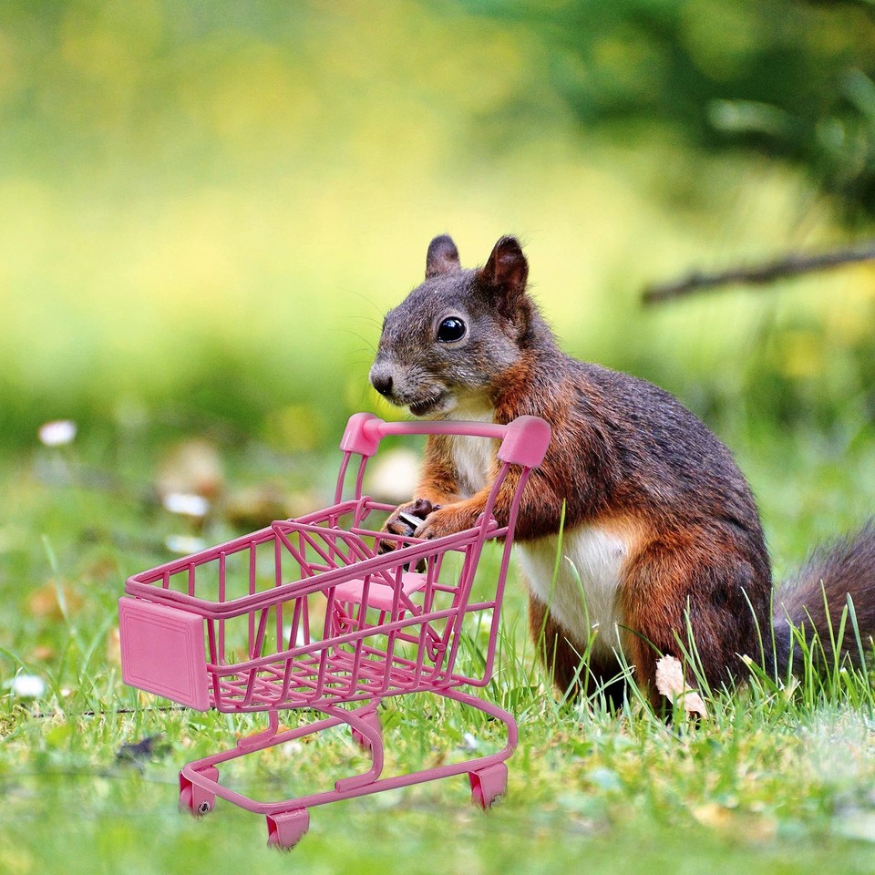 Mini Shopping Cart, Mixed Pretend Play Food with Mini Grocery Food