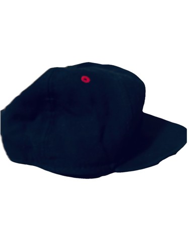 Air Jordan Jumpman Strap Back Hat Cap Cotton Blend Dad Basketball Jordan Bulls - Bild 4 von 6