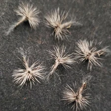 CALLIBAETIS TROUT DRY FLY SIZE 18 STACKER SPARKLE DUN FRONTIER FISHING FLIES