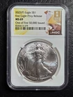 Beautiful 2025 P $1.00 American Eagle  Silver Dollar First Privy NGC Graded MS69