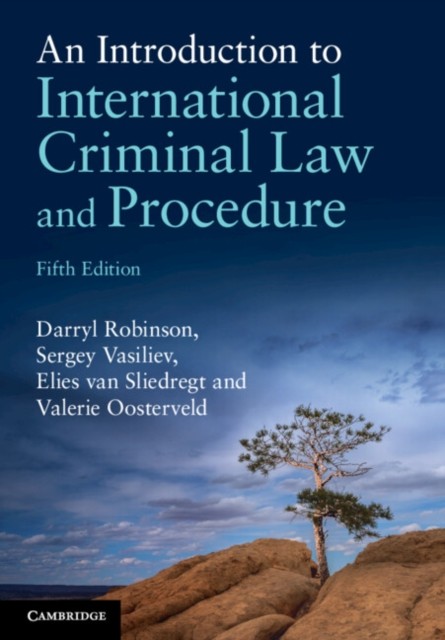 Introduction To International Criminal L - Image 2