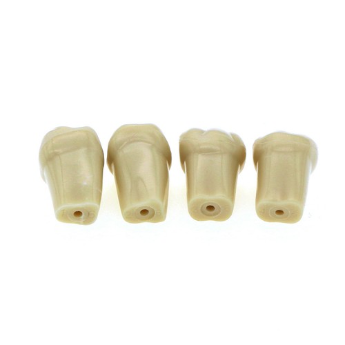 Dental Frasaco AG3 Type Restorative Typodont Model 32pc Marked Teeth M8014-2 - Picture 21 of 39