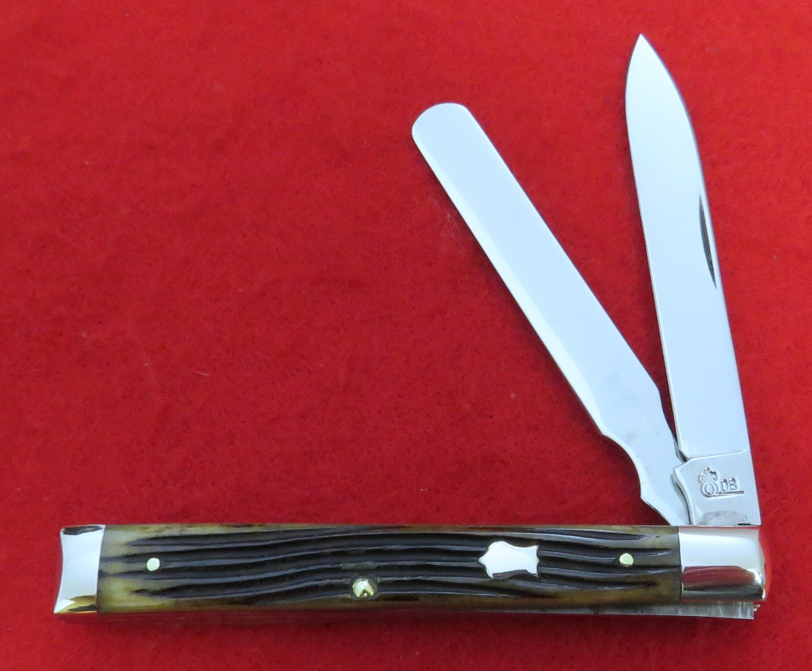 Queen USA Dan Burke Doctor's Knife Winterbottom Bone 2005 NICE SNAP Mint NR