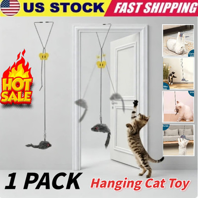Cat Kitty Teaser Toys Retractable Door Hanging Mouse Interactive Pet Wind Plush